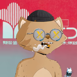 HyperCat #2857