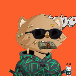HyperCat #4404