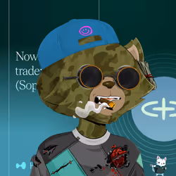 HyperCat #1835