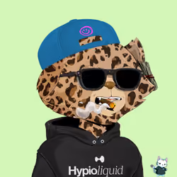 HyperCat #3554