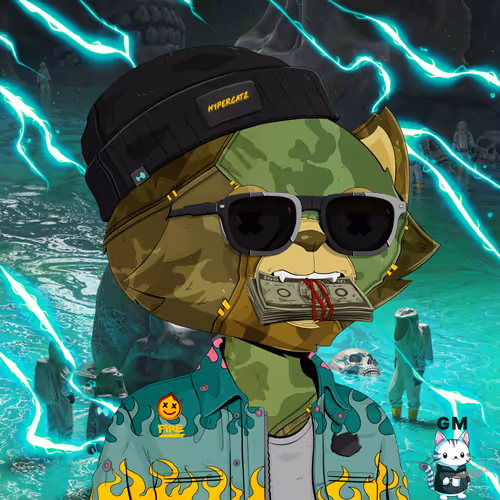 HyperCat #625