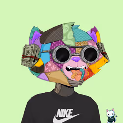 HyperCat #3081