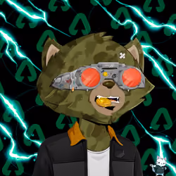 HyperCat #1586