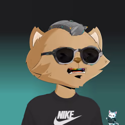 HyperCat #1686