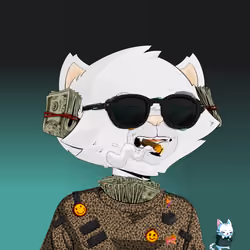 HyperCat #2067