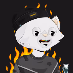 HyperCat #1806