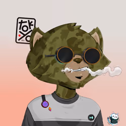 HyperCat #2227