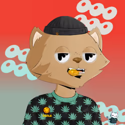 HyperCat #2270