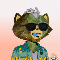 HyperCat #2970