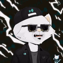 HyperCat #1398