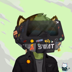HyperCat #3808