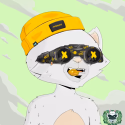 HyperCat #2578