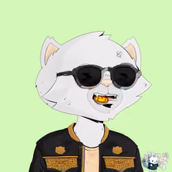 HyperCat #4249
