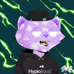 HyperCat #33