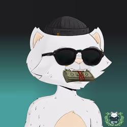 HyperCat #3126