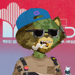 HyperCat #3161