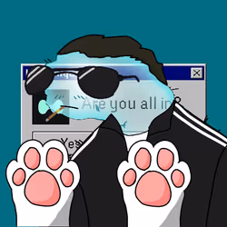 853