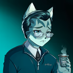 41
