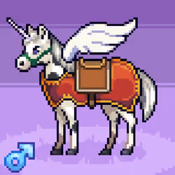 HORSY #55791