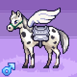 HORSY #55616