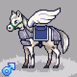 HORSY #17018