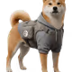 DOG Ink Genesis NFTs