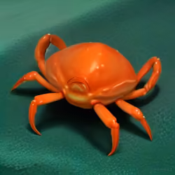 Citrea Crabs #2362