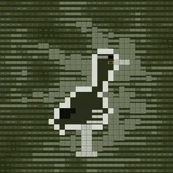 404