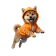 DOG Bitcoin