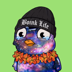 Boink #397