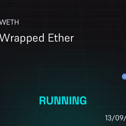 PWN Loan #7