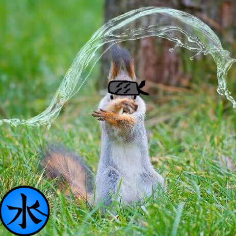 Ninja squirrel #1