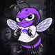 Hornet #1243