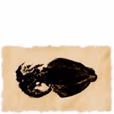 ink squid #3
