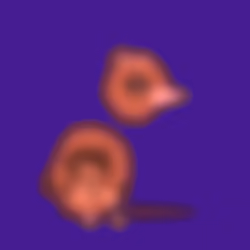 66