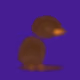 526