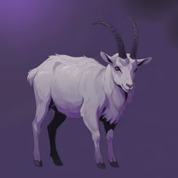 Goat