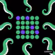 99