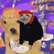 Real cat