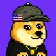 Pre DOGE