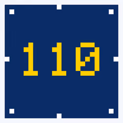 110
