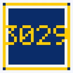 3029