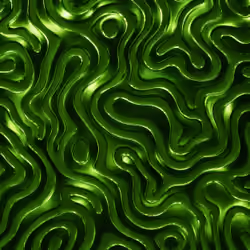Strata