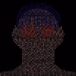 1101