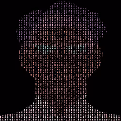 2081