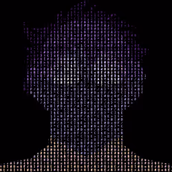 4062