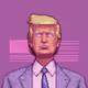 TRUMPINK