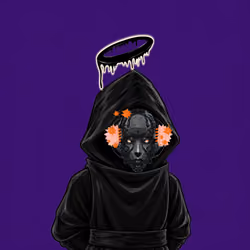 The SHROUDED  #2072