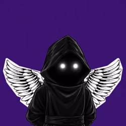 The SHROUDED  #782