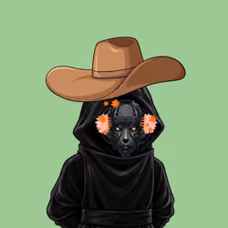 The SHROUDED  #1666
